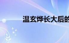 温玄烨长大后的照片（温玄烨）