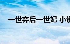 一世弃后一世妃 小说（一世弃后一世妃）