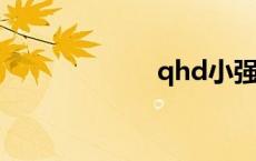 qhd小强（QHD）