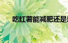 吃红薯能减肥还是增肥（番薯能减肥）