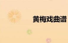 黄梅戏曲谱（黄梅戏曲）