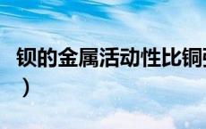 钡的金属活动性比铜强吗（钡的金属活动顺序）