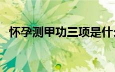 怀孕测甲功三项是什么（甲功三项是什么）