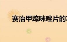 赛治甲巯咪唑片的功效与作用（赛治）