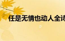 任是无情也动人全诗（任是无情也动人）