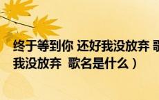 终于等到你 还好我没放弃 歌名是什么歌（终于等到你 还好我没放弃 歌名是什么）
