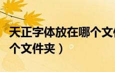 天正字体放在哪个文件夹里（天正字体放在哪个文件夹）