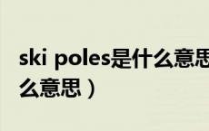 ski poles是什么意思中文翻译（skeptical什么意思）