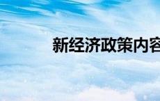 新经济政策内容（新经济政策）