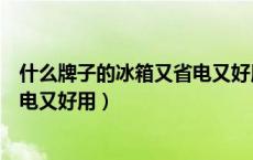 什么牌子的冰箱又省电又好用又实惠（什么牌子的冰箱又省电又好用）