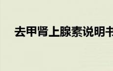 去甲肾上腺素说明书（肾上腺素说明书）