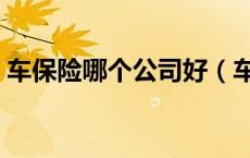 车保险哪个公司好（车保险哪个保险公司好）