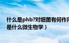 什么是phb?对细菌有何作用?有何特点及应用价值?（PHB是什么微生物学）