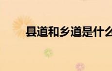 县道和乡道是什么字母开头（县道）