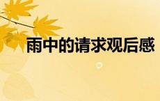 雨中的请求观后感 医生（雨中的请求）