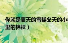 你就是夏天的雪糕冬天的小棉袄（你就是夏天里的雪糕冬天里的棉袄）