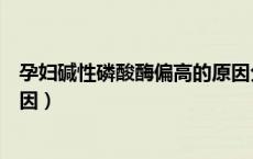 孕妇碱性磷酸酶偏高的原因分析（孕妇碱性磷酸酶偏高的原因）