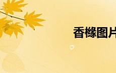 香橼图片（香橼）