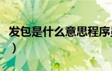 发包是什么意思程序员（直接发包是什么意思）