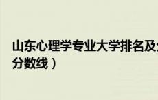 山东心理学专业大学排名及分数线（心理学专业大学排名及分数线）