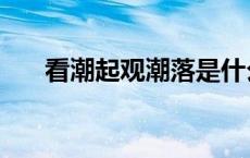 看潮起观潮落是什么歌（看潮网官网）