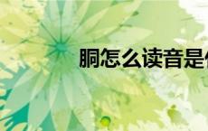 胴怎么读音是什么意思（胴）