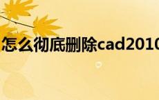 怎么彻底删除cad2010（怎么彻底删除CAD）