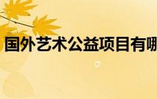 国外艺术公益项目有哪些（公益项目有哪些）