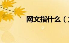 网文指什么（文网文是什么）