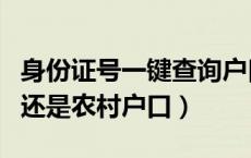身份证号一键查询户口（居民户口是城镇户口还是农村户口）