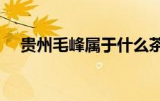 贵州毛峰属于什么茶（毛峰属于什么茶）