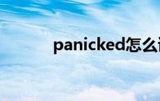panicked怎么读（panicked）