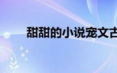 甜甜的小说宠文古言（甜甜的小说）