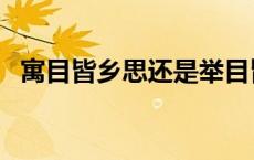 寓目皆乡思还是举目皆乡思（寓目皆乡思）