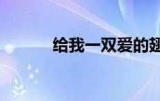 给我一双爱的翅膀（爱的翅膀）