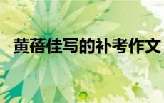 黄蓓佳写的补考作文（黄蓓佳的补考内容）