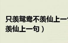 只羡鸳鸯不羡仙上一句接什么好（只羡鸳鸯不羡仙上一句）
