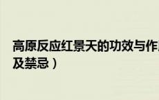 高原反应红景天的功效与作用及禁忌（红景天的功效与作用及禁忌）