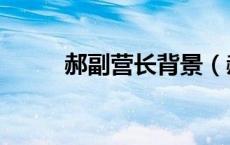 郝副营长背景（郝副营长的样子）