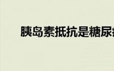 胰岛素抵抗是糖尿病吗（胰岛素抵抗）
