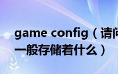 game config（请问config文件(游戏文件)一般存储着什么）