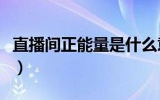 直播间正能量是什么意思（正能量是什么意思）