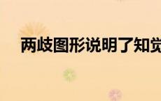 两歧图形说明了知觉的什么特征（两歧）