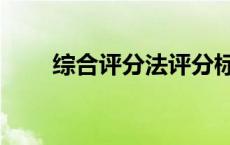 综合评分法评分标准（综合评分法）