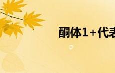 酮体1+代表啥（酮体）