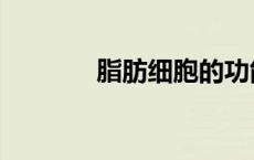 脂肪细胞的功能（脂肪细胞）