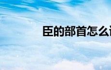 臣的部首怎么读（臣的部首）