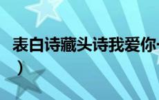 表白诗藏头诗我爱你一生一世（表白诗藏头诗）