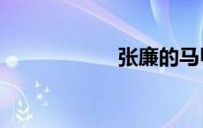 张廉的马甲（张廉）