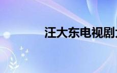 汪大东电视剧大全（汪大东）